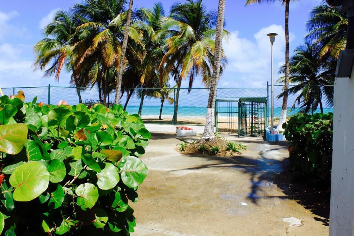 2Br Gem Ocean Front Building Isla Verde Beach 圣胡安 外观 照片